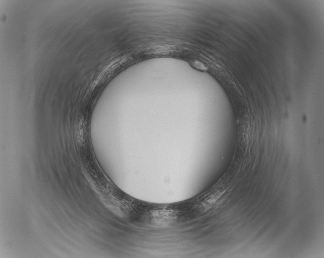 X0000052980216200507291600