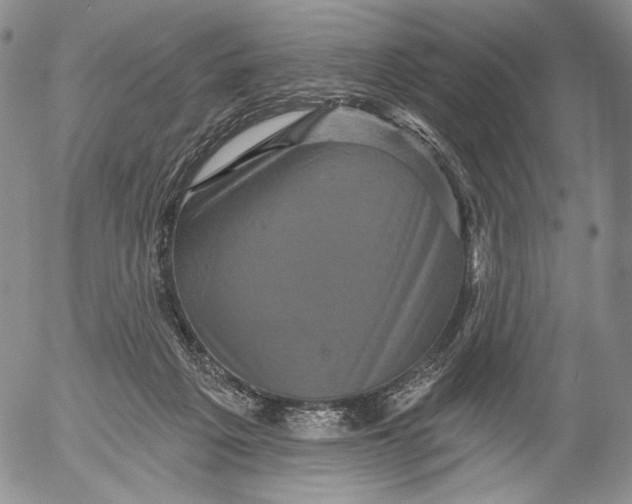 X0000052980217200507291600