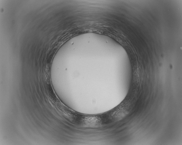 X0000052980218200507291600