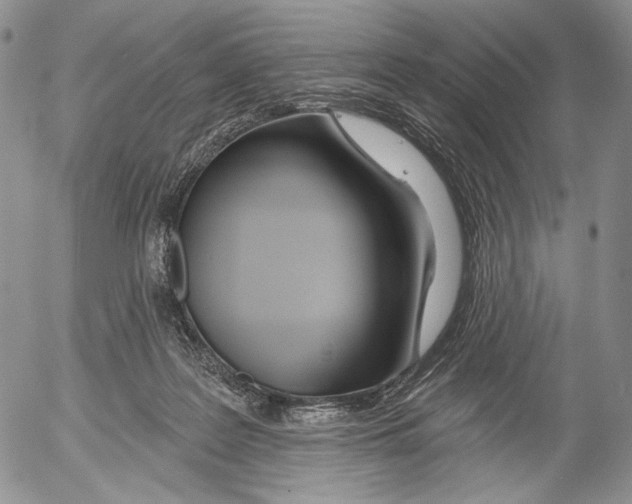 X0000052980219200507291600