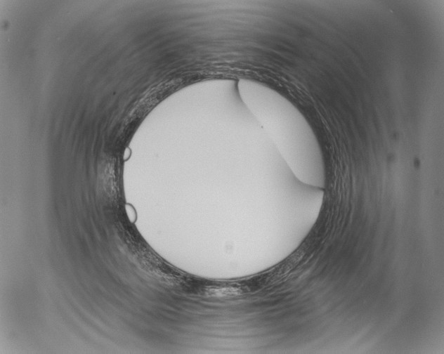 X0000052980220200507291600