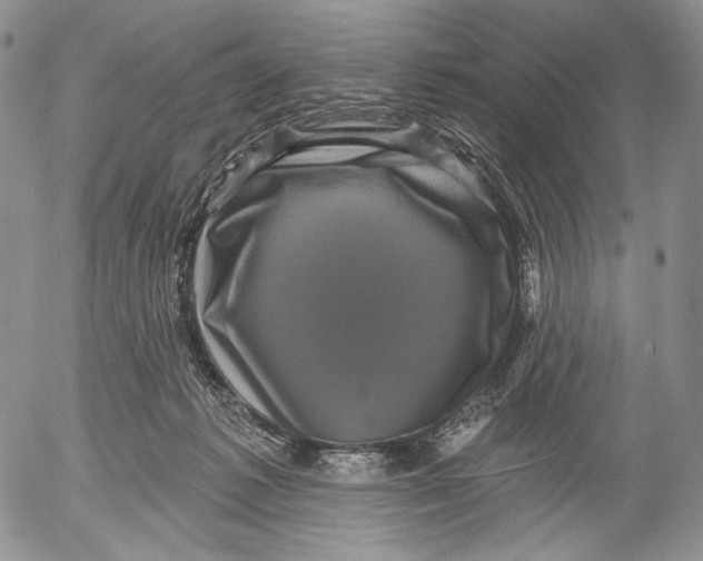 X0000052980221200507291600