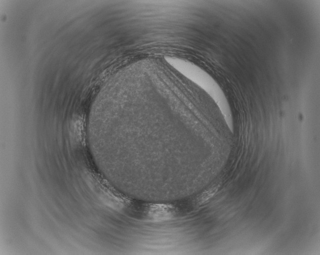 X0000052980222200507291600