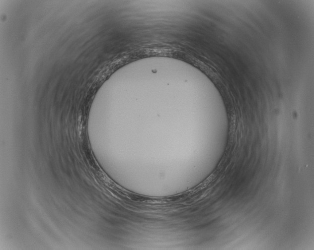 X0000052980223200507291600