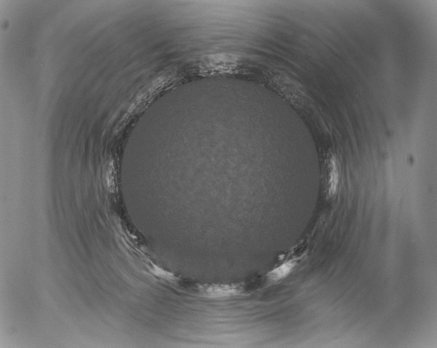 X0000052980224200507291600