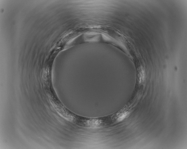 X0000052980225200507291600