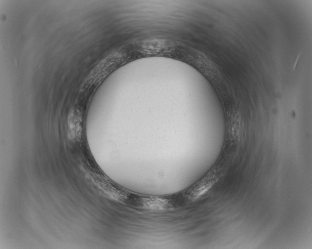 X0000052980226200507291559