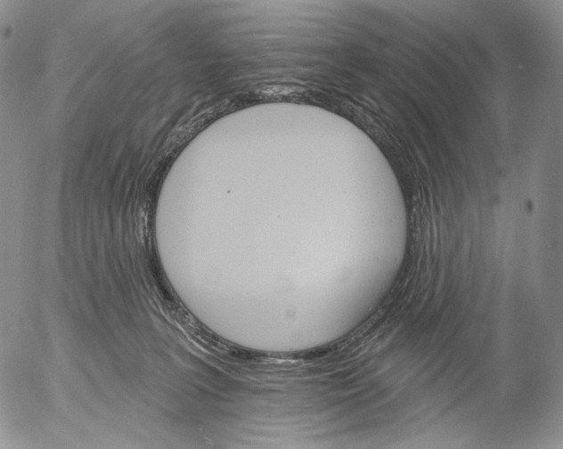 X0000052980227200507291559