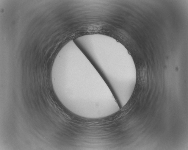 X0000052980228200507291559