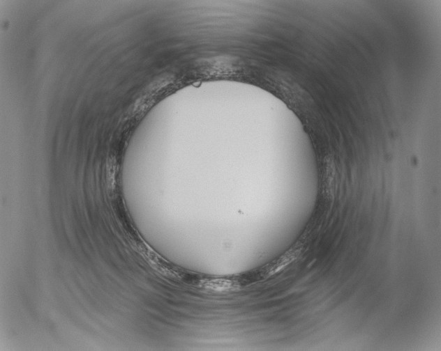 X0000052980230200507291559