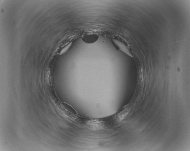 X0000052980231200507291559