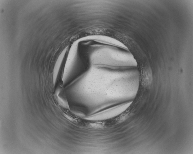 X0000052980232200507291559