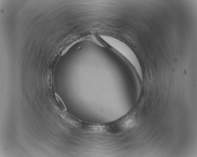 X0000052980233200507291559