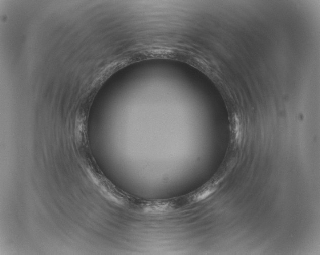 X0000052980235200507291559