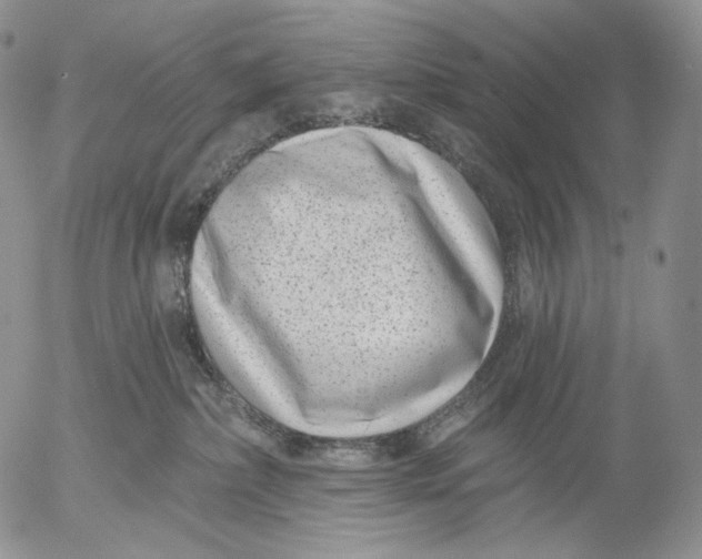 X0000052980236200507291559