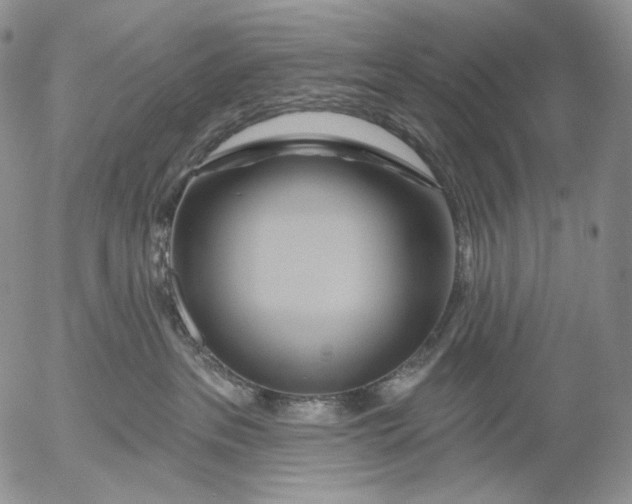 X0000052980237200507291559