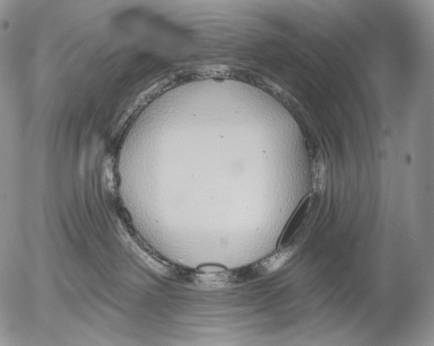 X0000052980238200507291559