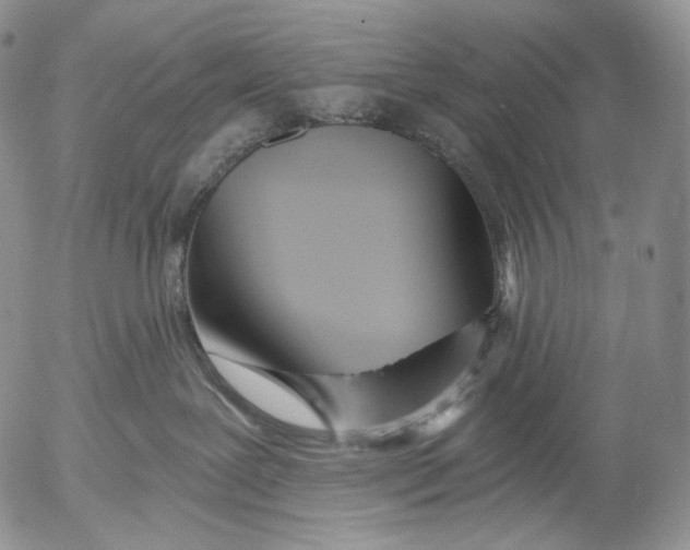 X0000052980239200507291559