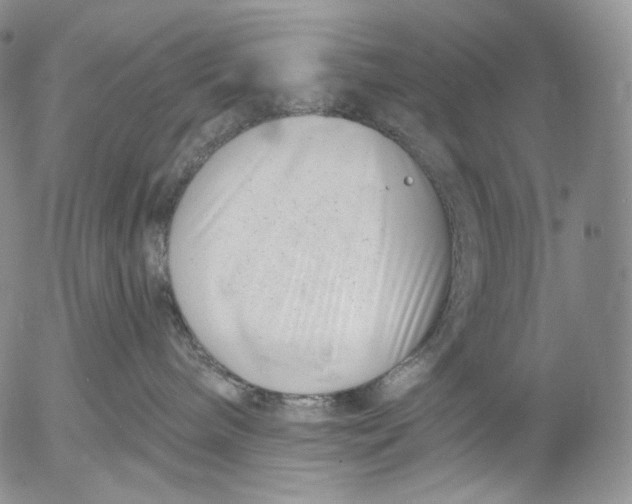 X0000052980240200507291559