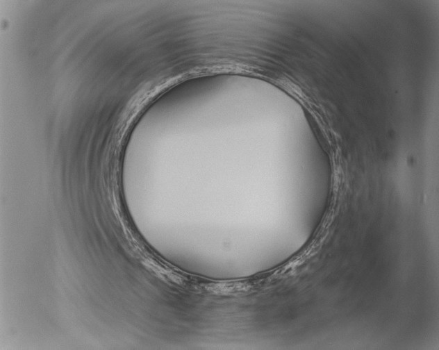 X0000052980241200507291558