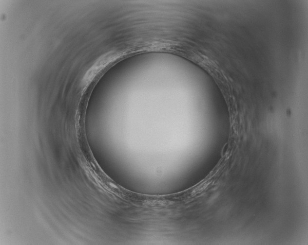 X0000052980242200507291558