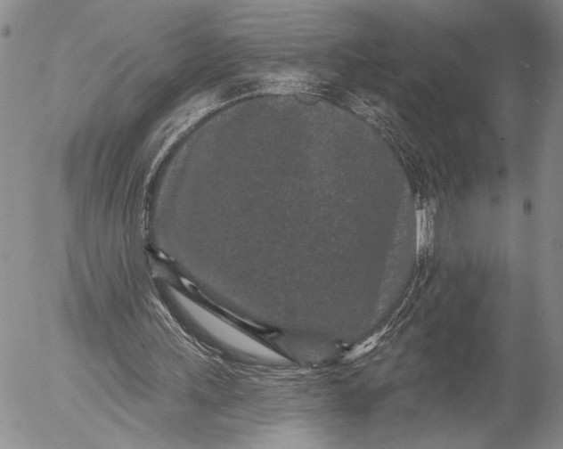 X0000052980243200507291559