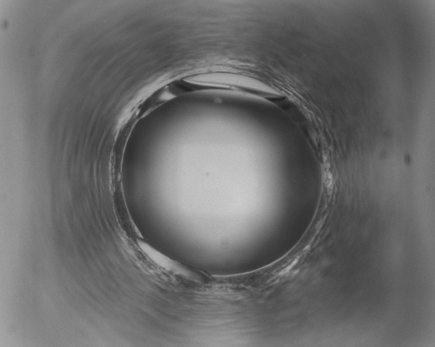 X0000052980244200507291559