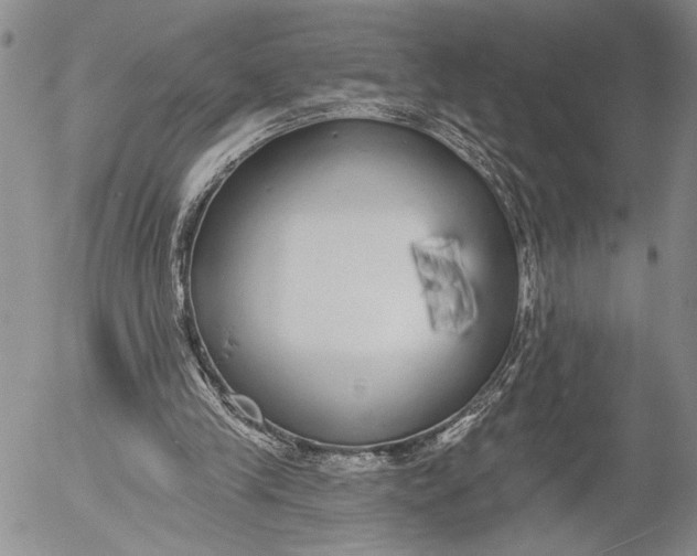 X0000052980245200507291559