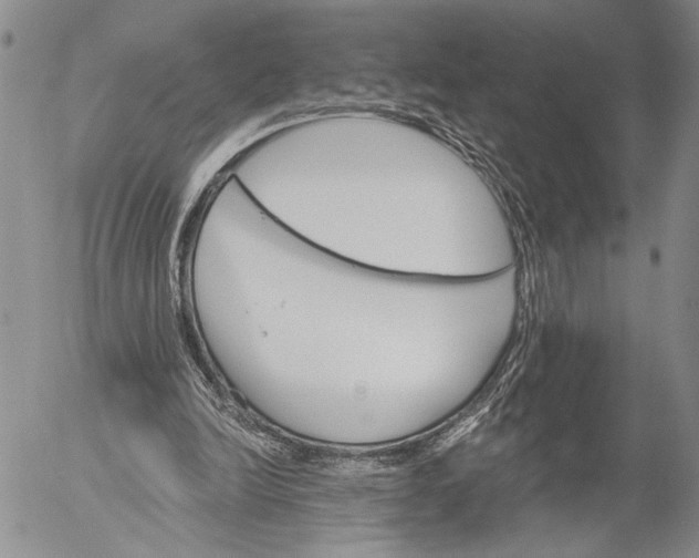 X0000052980246200507291559