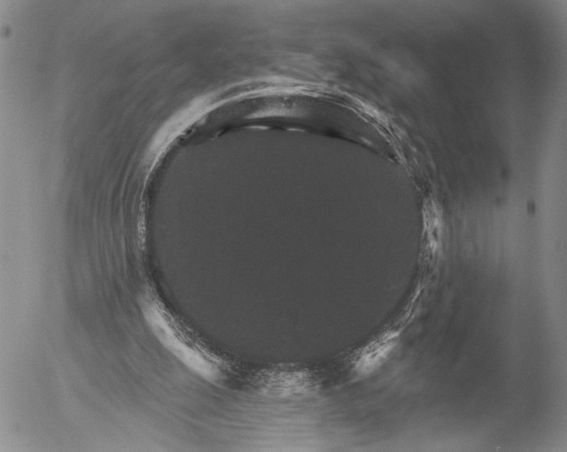 X0000052980247200507291559