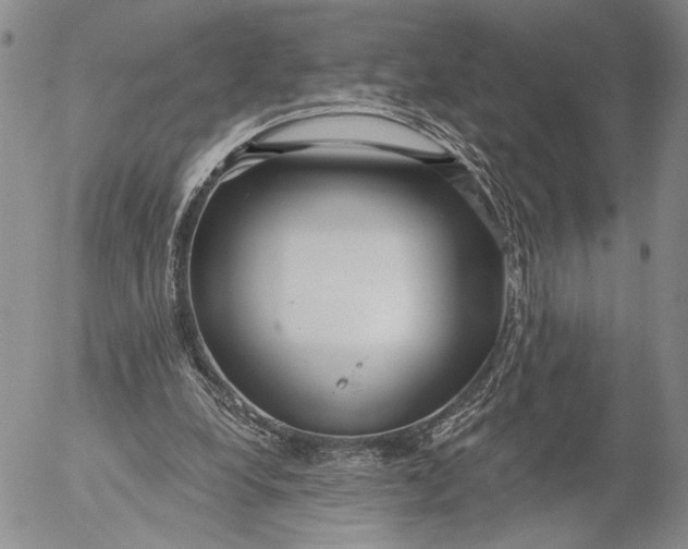 X0000052980248200507291559