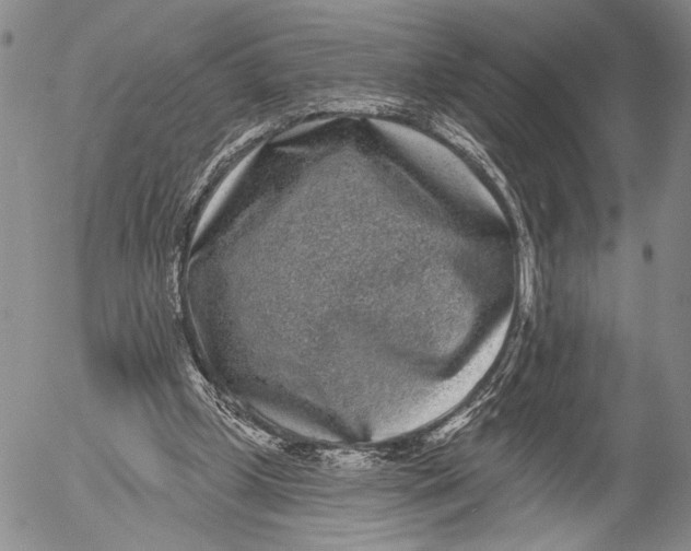 X0000052980249200507291559