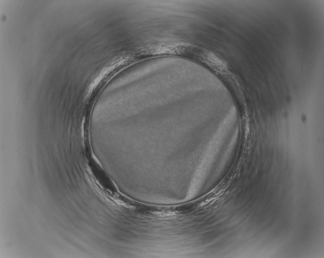 X0000052980250200507291559