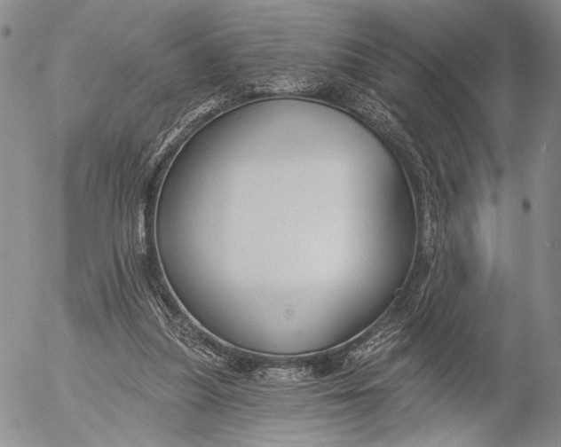 X0000052980251200507291559