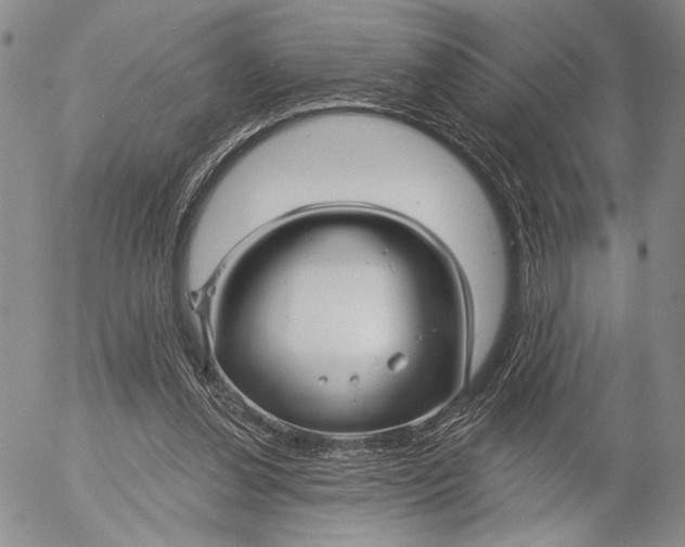 X0000052980252200507291559