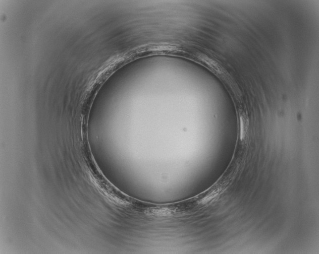 X0000052980253200507291559