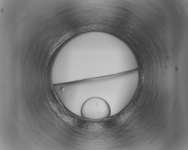 X0000052980254200507291559