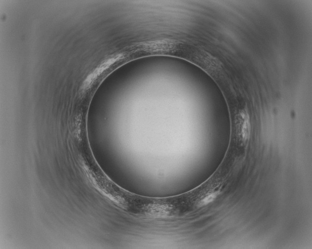 X0000052980255200507291559