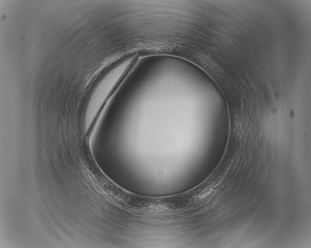 X0000052980256200507291559