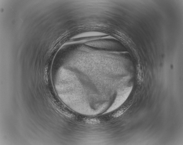 X0000052980258200507291559