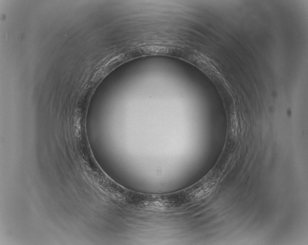 X0000052980259200507291559