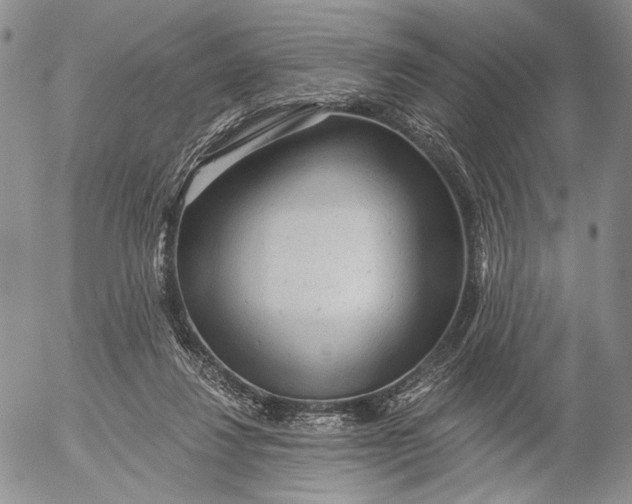 X0000052980260200507291559