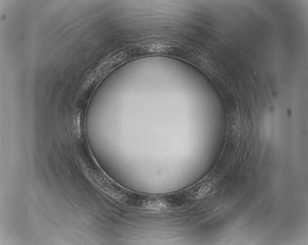 X0000052980262200507291559