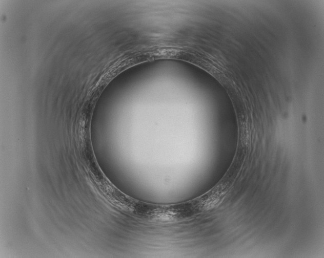 X0000052980263200507291559