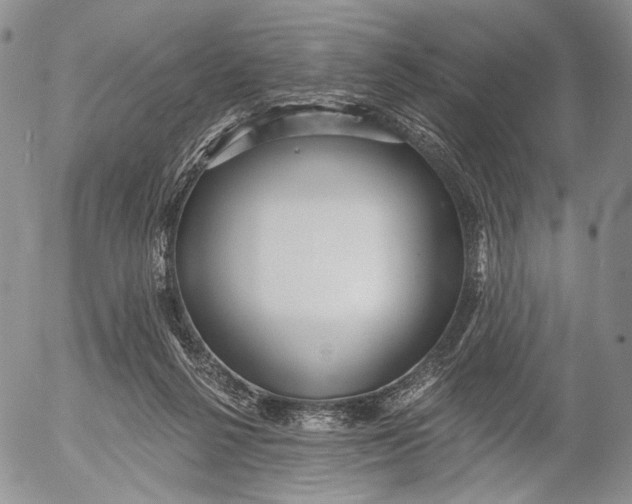 X0000052980264200507291559