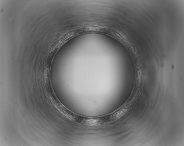 X0000052980265200507291559