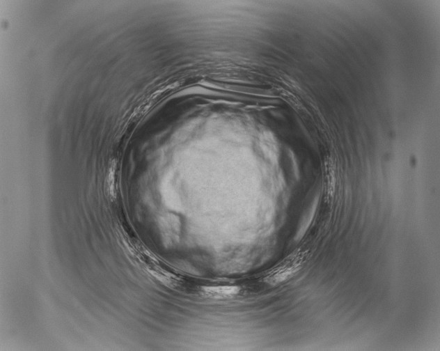 X0000052980266200507291559