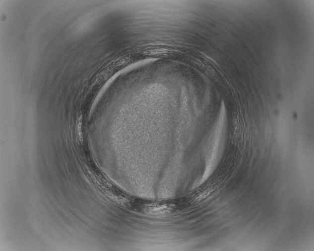 X0000052980267200507291559