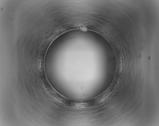 X0000052980268200507291559