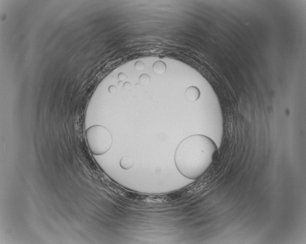 X0000052980270200507291559